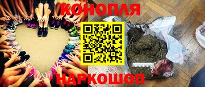 стафф Кудрово