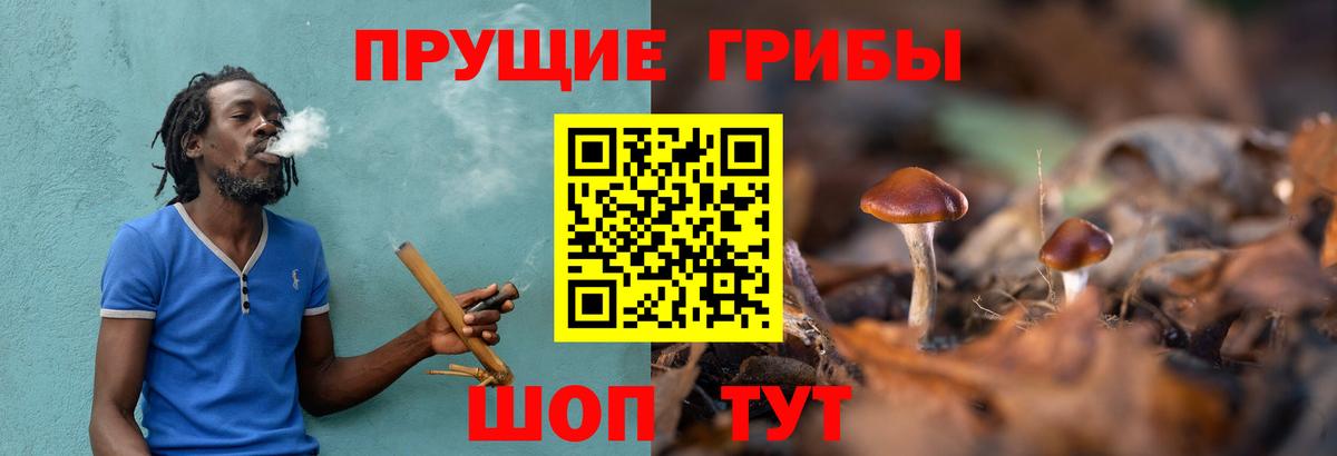 Псилоцибиновые грибы GOLDEN TEACHER Ростов-на-Дону